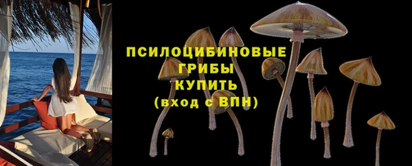 ГАЛЛЮЦИНОГЕННЫЕ ГРИБЫ Абинск