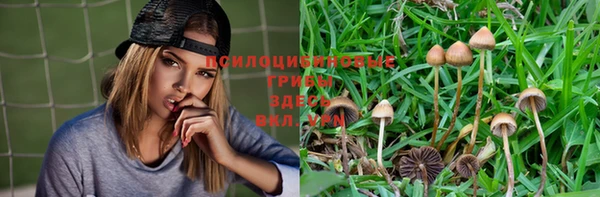 дурь Алексеевка