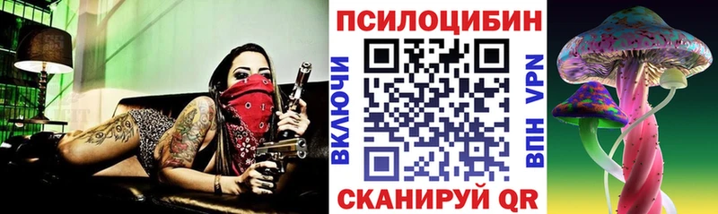 Псилоцибиновые грибы Cubensis  Истра 